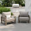 Chaise de patio en aluminium avec coussins (ensemble de 2)-237314401