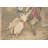 Jemina Beatrix Potter  European Cushion Covers-120132155