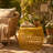 ALAMERA 19.75 SIDE TABLE