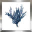 «Sea Coral I» par Carol Robinson - reproduction de cadre photo-773937434