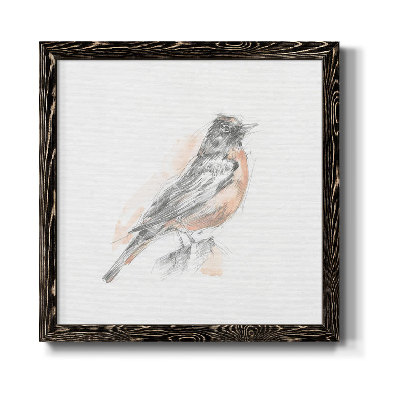 Robin des bois croquis I-Premium, toile encadrée - prête à être accrochée, H 27,5 po x l 27,5 po x P 1,5 po, Cadre noir