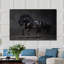 Black Stallion Framed Photographic Print-24078756