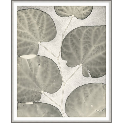 Winsome Problems 1 Print by Darrell Kincer