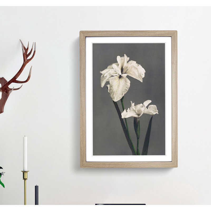 White Iris Flower by Kazumasa Ogawa - Picture Frame Art Prints, 65cm H x 48cm W x 2cm D, Oak Framed