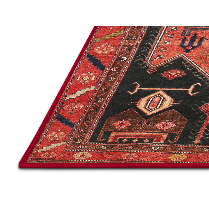 Tapis traditionnel 100% lavable à la machine 2627, Tapis de couloir 2 pi x 5 pi