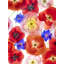 Red, Pink, And Blue Print by Harold Davis-65780491-132538984