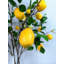 Arrangement de citron dans un vase (6 grandes tiges)