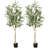 71.5'' Faux Olive Tree Tree in Pot