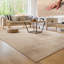 Ananio Solid Colour Shag Area Rug-474376281