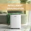 AIRPLUS 4500 Sq. Ft 50 Pints Dehumidifier with Tank and Drain Hose for Home Office Living Room