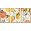 Pastel, citron, orange, agrumes, nourriture, cuisine, cuisson, illustrations, art moderne, décoration-102298289-102298286