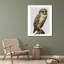 «Ophelia & Co. Fab Funky Gallery», art sur toile tendue: Barn Owl-705277569