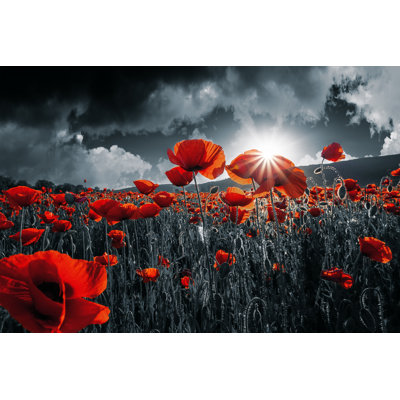 Coquelicots rouges dans le champ. Remembrance Day par Mike_Pellinni - Photographie sur toile tendue