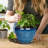 Ceramic Modern Glaze Succulent Planter Pot-375652743