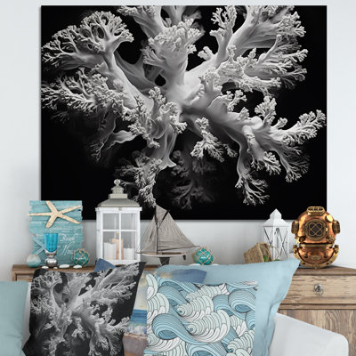 Anémone de corail noir et blanc III sur toile