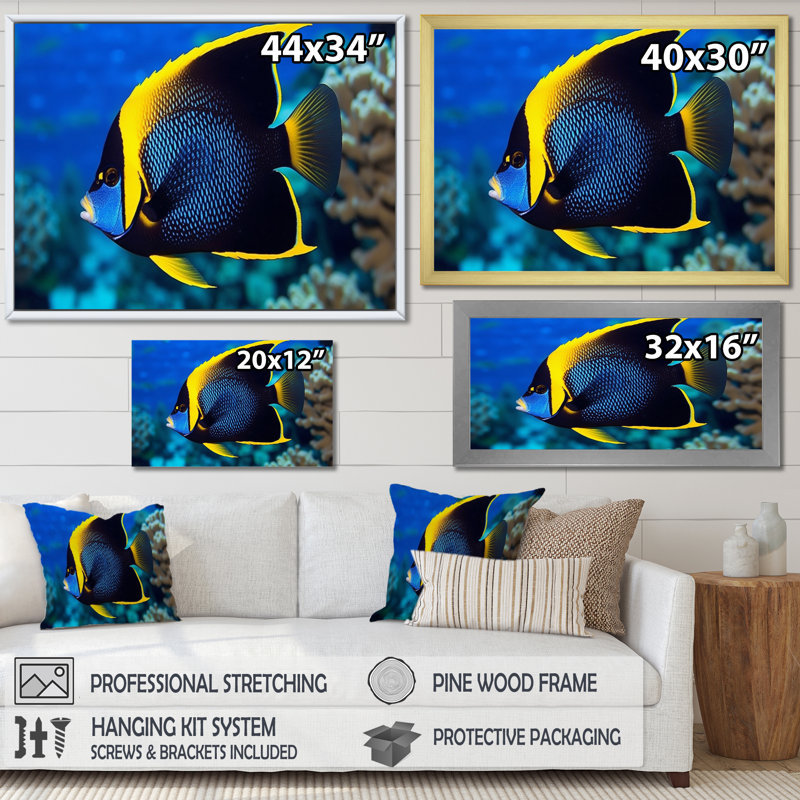 Reproduction d'art sur toile, "Finved Fish Wonders I" - animaux, H 12 po x l 20 po x P 1 po, Cadre doré à une seule photo