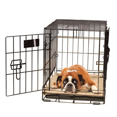 Tapis de caisse pour chien auto-chauffant