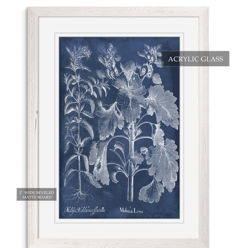 «Besler Leaves in Indigo I» par Paul Cezanne - reproduction d'art encadrée, H 24 po x l 18 po x P 1 po