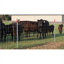 Ensemble de clôture de ferme en métal galvanisé, rouleau de 3 pi x 164 pi, argent froid, fil de calibre 13 durable, conception en filet gradué pour la protection du cheptel