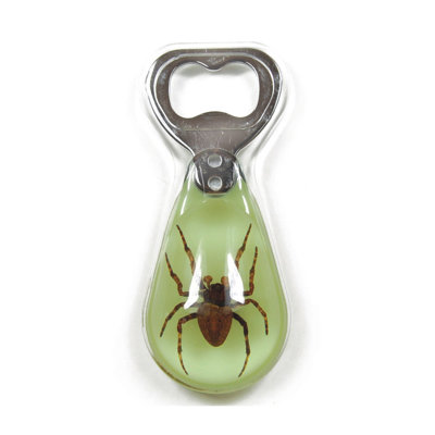 Bottle Opener