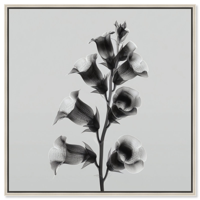 Ossified Petals I Print by Oliver Gal, 21"H x 21"W, Silver Floater Frame