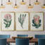 Protea N13 - Ensemble de 3 reproductions d'art-610503990-610855370