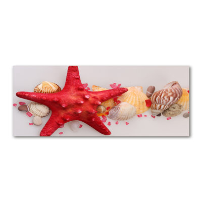 Starfish And Shells - Wrapped Canvas Print