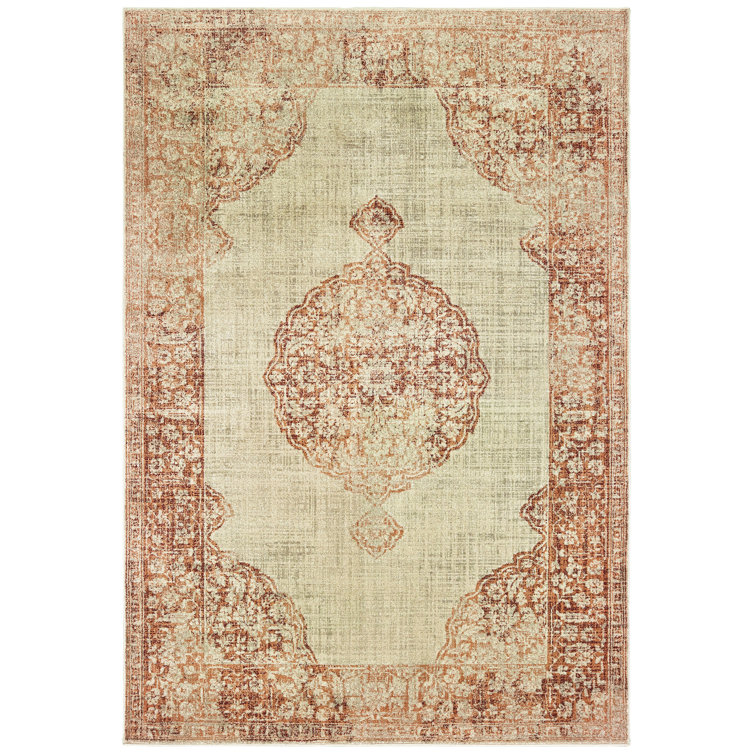 Haun Oriental Indoor Rug