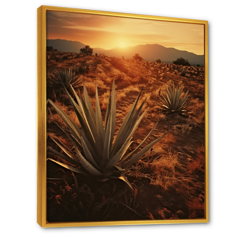 Succulent Field au Texas, H 20 po x l 12 po x P 1 po, Cadre flottant doré