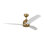 Avila LED Downrod Ceiling Fan