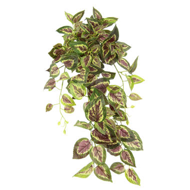 Die Saisontruhe Topf & Bewertungen Wasserlilie im Kunstpflanze