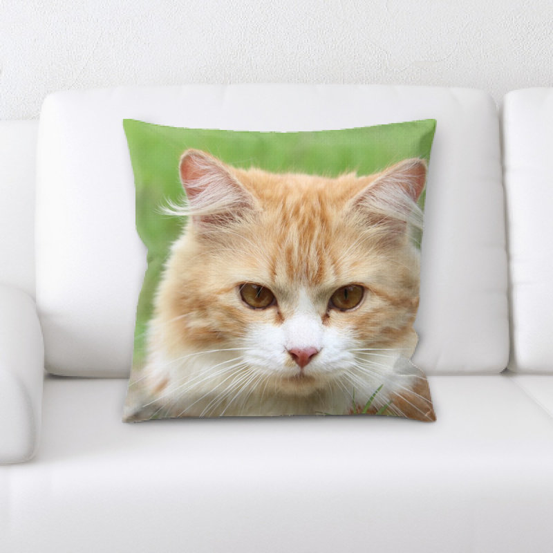 Coussin pour chat