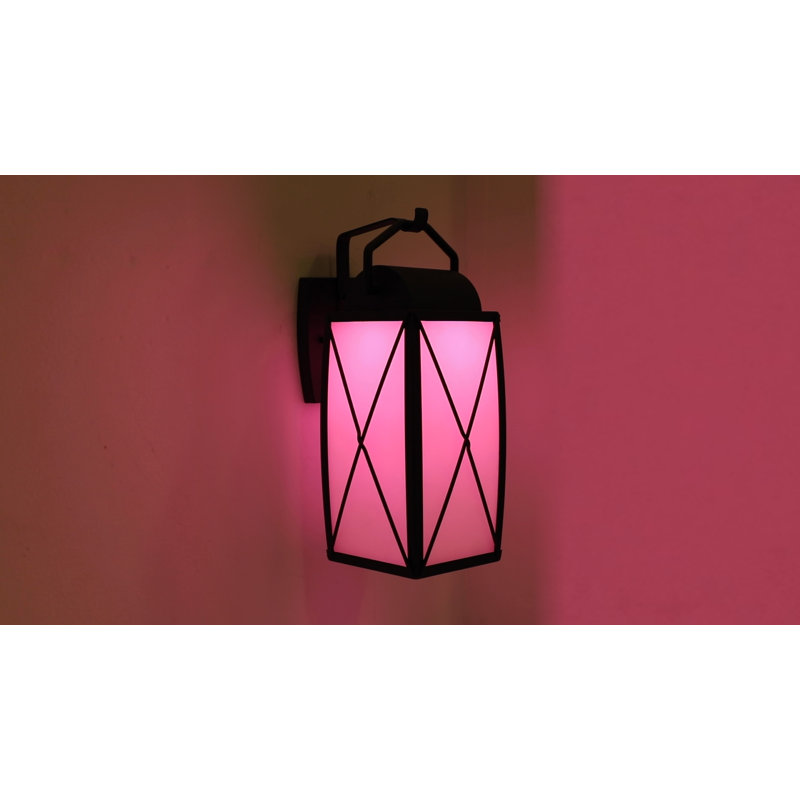 Jeniece LED Wall Light, 16.5" H x 7.5" W x 9.5" D