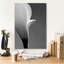 «Calla No. 5» par PhotoINC Studio-1774682594