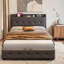 Nalani Upholstered Ottoman Storage Bed-149435683