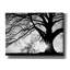 «Oak Silhouette» par PhotoINC Studio-526052629
