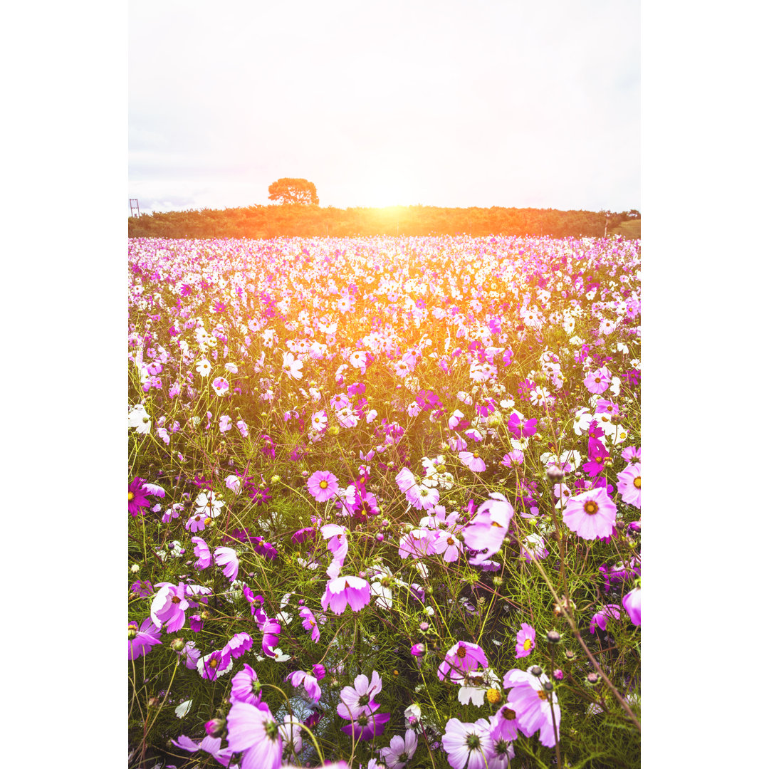 Schöne Blumen Wiese von Real444 - Drucken