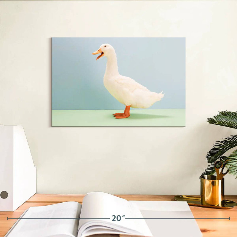 Canard blanc, H 8 po x l 12 po