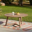 8 - Person Acacia Wood Patio Dining Set with Rectangular Table