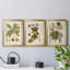 Antique Leaves I - ensemble de 3 impressions sur toile encadrées-538655369-538655374
