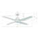 Alberte 122cm Ceiling Fan with LED Lights