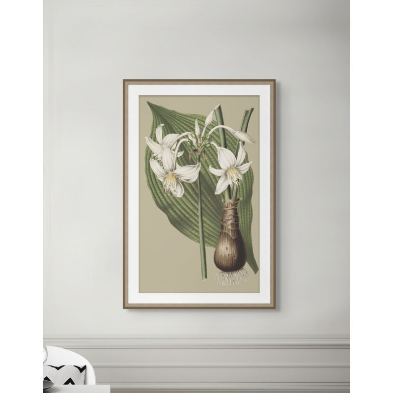 Botanical Jungle 2 Print, 31.75" H x 21.75" W