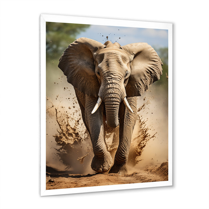 Kyley, photographie d'éléphants d'Afrique II, Cadre photo blanc, H 20 po x l 12 po x P 1 po