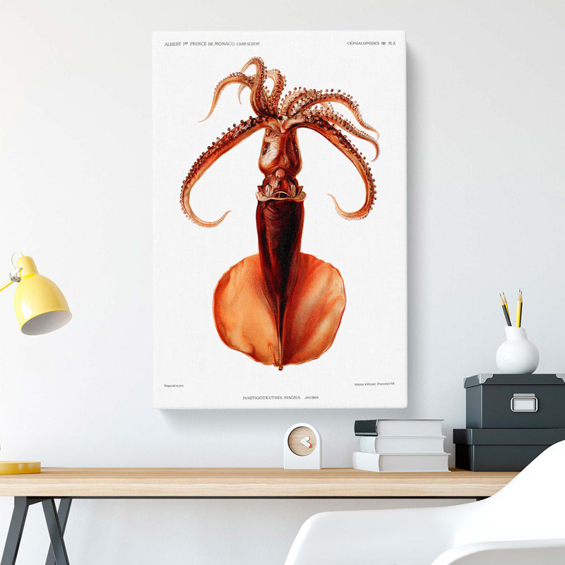 Squid Illustration by Albert I - Wrapped Canvas Painting, 60cm H x 40cm W x 3cm D