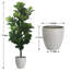 Pots à fleurs artificiels en figuier et résine-115293302-116918880