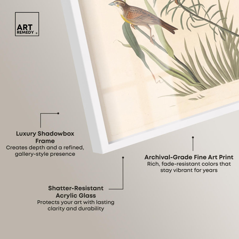«Tallgrass pair shadowbox print», art botanique par Art Remedy, H 16 po x l 11 po, Blanc