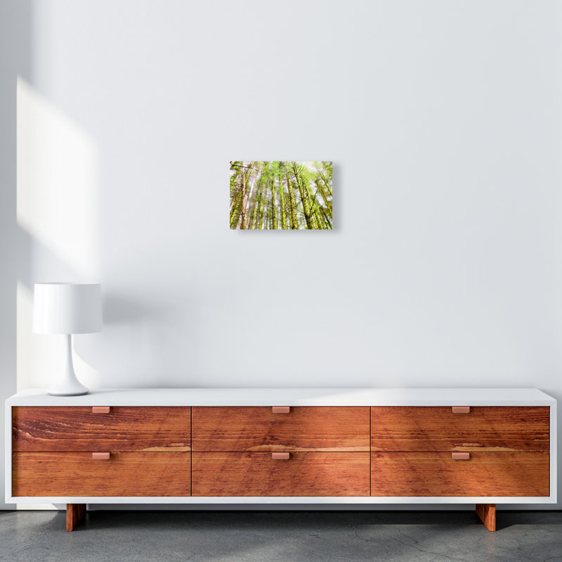 Woodland - Print on Canvas, Unframed, 21cm H x 29.7cm W x 4cm D