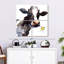 Brampt Daisy Cow