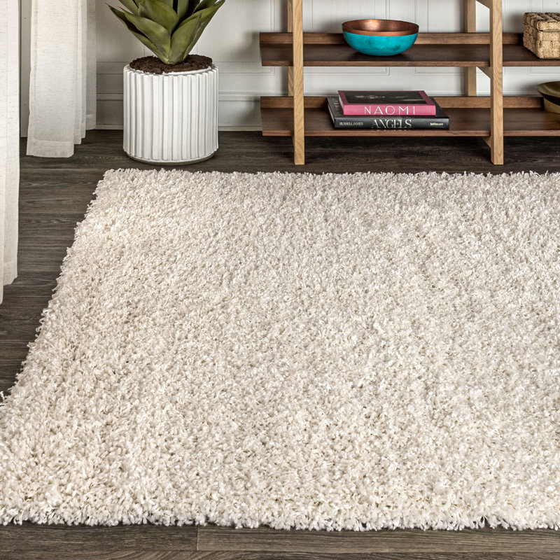 Felicdad Shag Plush Cream Rug, Rectangle 3'1" x 5'