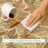 Machine Washable Indoor/Outdoor Chantille ACN2557 Botanical Rug-562110496-562111453